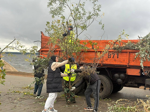 Бүген автокалада 250 агач утыртылды