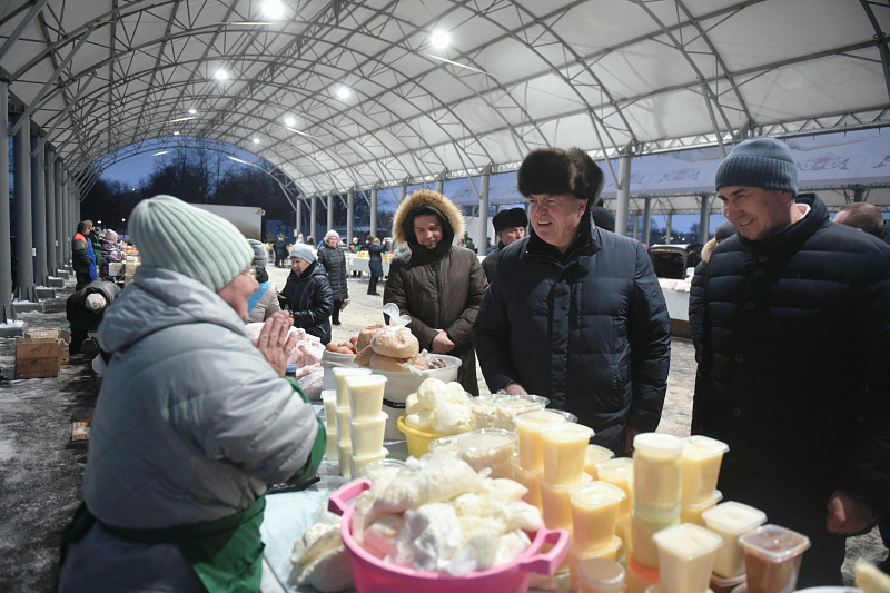 Чаллы хакиме Наил Мәһдиев ярминкәгә барды